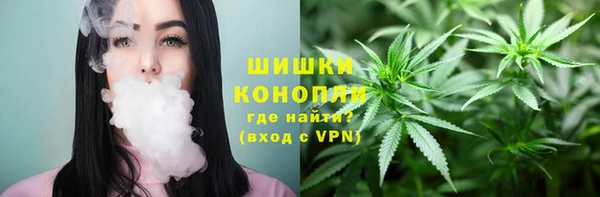 винт Арсеньев