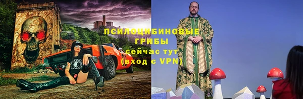 винт Арсеньев