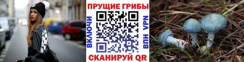 Галлюциногенные грибы прущие грибы  Купить где  Севск 